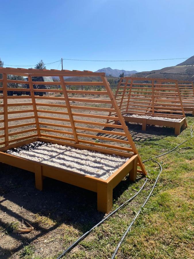 Cabanas Vicuna Cielo De Peralillo - Valle De Elqui エクステリア 写真